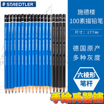 Staedtler Blue Rod 100 + Grayscale Pencil Sketch Pencil