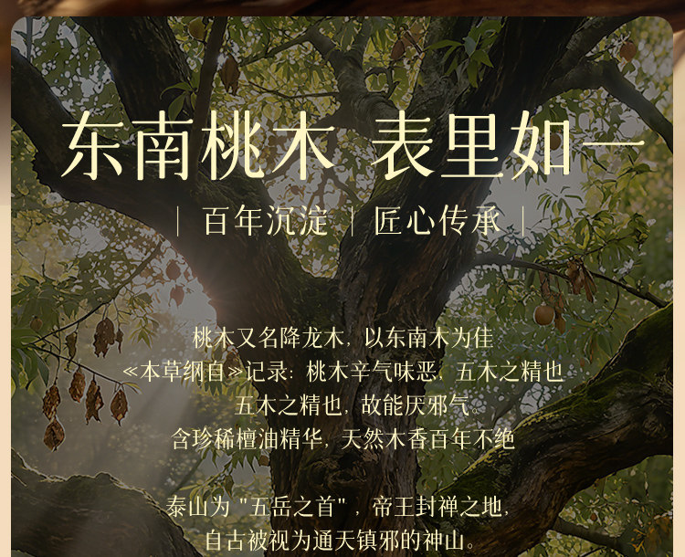 普陀山本命年真品桃木手串女款南红双圈避凶高级感木质手链详情8