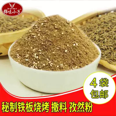 Jinwei boy seasoning cumin powder iron plate new duck sausage ingredients high quality bulk bag 500g