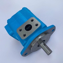 Senarui SCENERY dual-linked vane pump bilateral pump S45V50 45 5775A-1ABDC22R