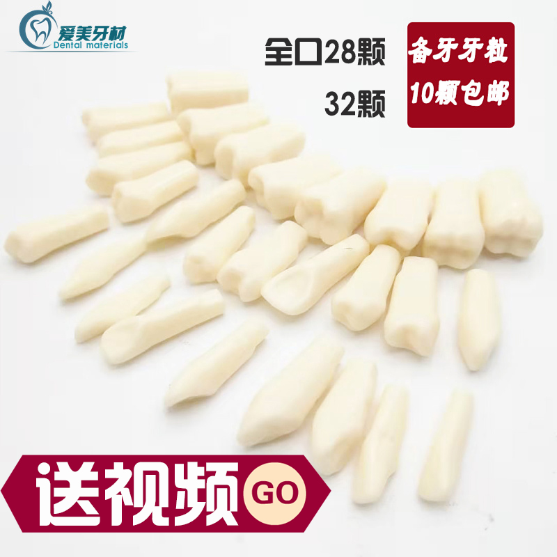 Dental preparation tooth model simulation tooth granules resin loose teeth open pulp tooth examination practice dental materials oral consumables