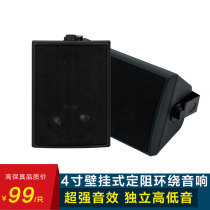 Teana family background music HiFi wall-mounted audio living room surround fixed-stop passive horn shop meeting dance