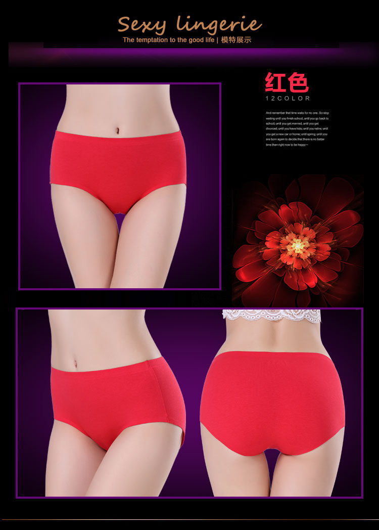 Slip jeunesse en coton - Ref 644462 Image 15