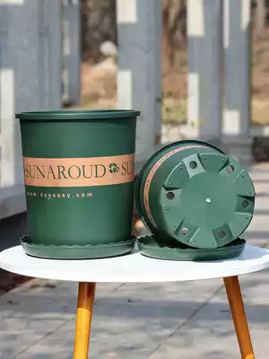 Changsheng plastic chunky gallon flowerpot gold rose large factory direct clearance special gallon basin