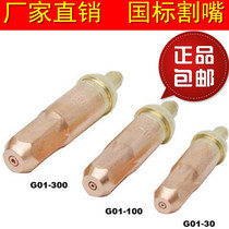 G01-30 100 300 type cutting torch ring propane gas cutting nozzle liquefied gas split stainless steel