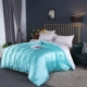 Chăn lụa tơ tằm màu đơn mảnh 100 lụa satin bìa 1,8m2 mét đôi mùa hè băng lụa - Quilt Covers