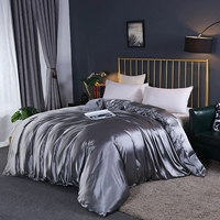 Chăn lụa tơ tằm màu đơn mảnh 100 lụa satin bìa 1,8m2 mét đôi mùa hè băng lụa - Quilt Covers chăn hè everon