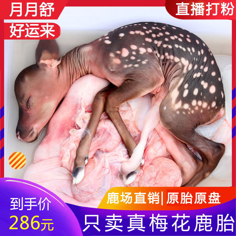 Grandmother deer farm double yang sika deer fetal weight girly placenta placenta powder prepared to adjust the pregnancy before eating maintenance more cream