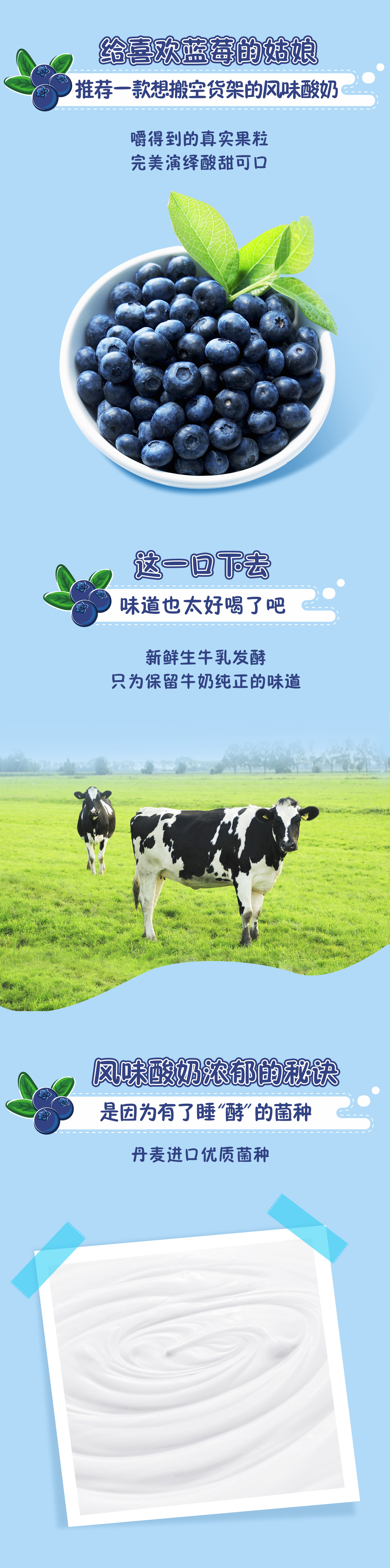 蒙牛 纯甄 蓝莓果粒 常温风味酸奶 200g*10瓶 图2