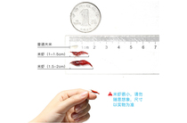 Watch Shrimp Cilanghez Polar Fire Sapphires Each 10 1 2-1 4cm 4cm total of 30