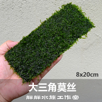 Large triangle Moss MOSS Moss Planted Stainless Steel Mesh Sheet Rigging Lawn Slumwood Moss New Hand Good Raise