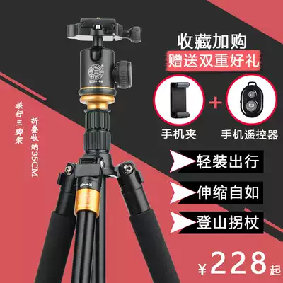 Lightweight era Micro-SLR camera SLR camera tripod Lightweight photography camera tripod Selfie mobile phone live broadcast bracket