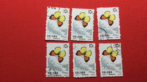 Special 56 20-11 20-11 10 Gay pin on a random sale of a single price