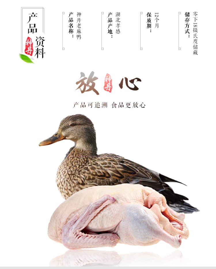 神丹 湖北孝感老麻鸭 活鸭现杀 900g 图3