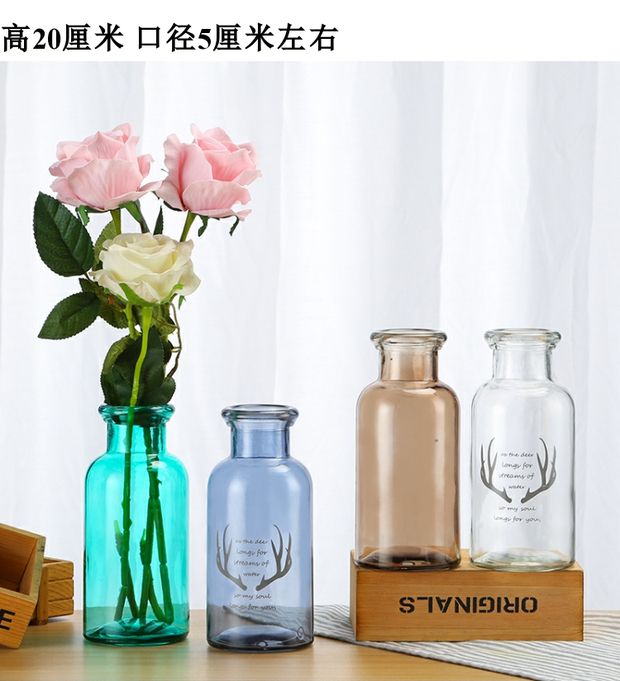 Ins miệng rộng bình thủy tinh hoa khô thủy canh cây xanh nhà container phòng khách văn phòng sáng tạo thủ công đồ trang trí - Vase / Bồn hoa & Kệ chậu đất trồng lan