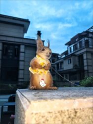 Squirrel pet clothes original design small yellow duck skirt small pet traction rope design adjustable size
