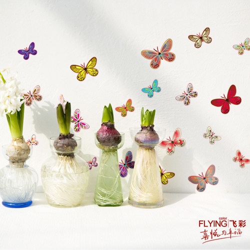 �ɲ� ��԰ǽ��C074