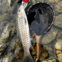 Deer antler copy net sub-stream micro-object ultra-light portable solid wood hand copy net purple bamboo root copy net head fishing net equipment