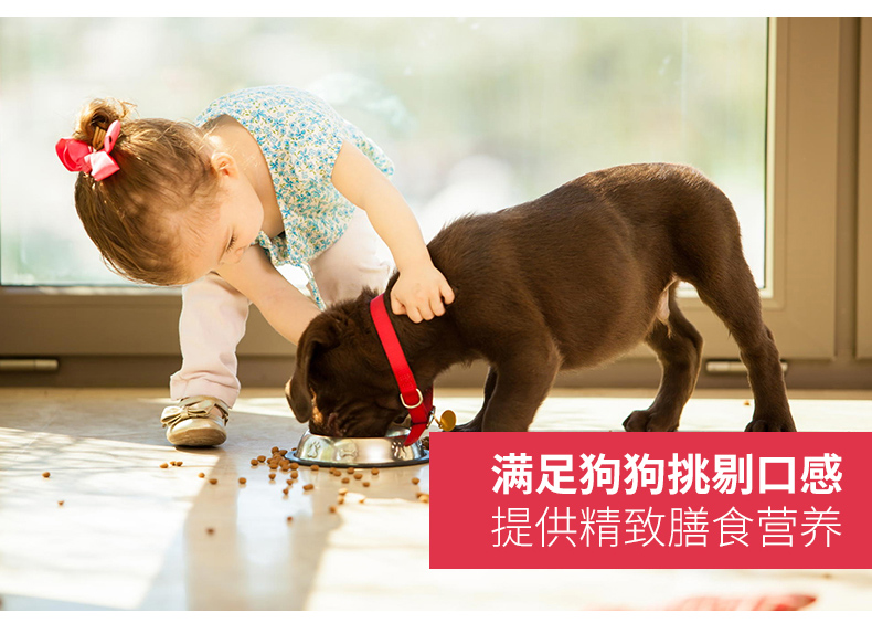 Chó con bảo vệ thức ăn cho chó 12kg thú cưng Teddy bên chăn nuôi Lông vàng lông nói chung loại lớn nhỏ bánh sữa chó - Chó Staples cám chó