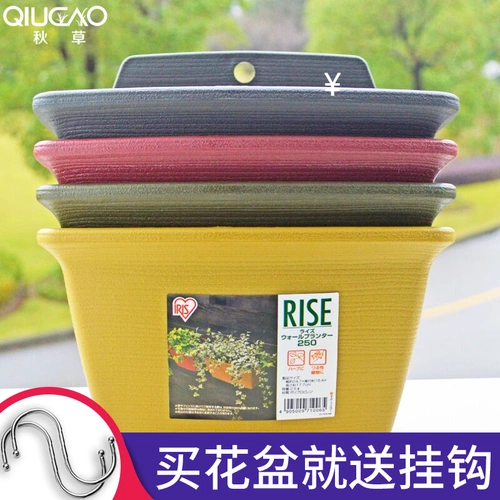 Али -радужная бутылка