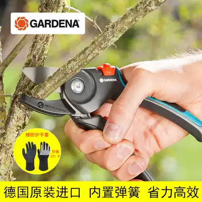 German imported Kadina branch scissors pruning shears fruit tree rough shears garden scissors gardening labor-saving tree branch shears