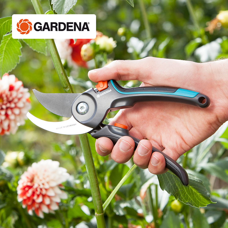 Germany imported Gardiner pruning shears Gardening scissors Fruit tree pruning branch scissors Garden tools flower scissors