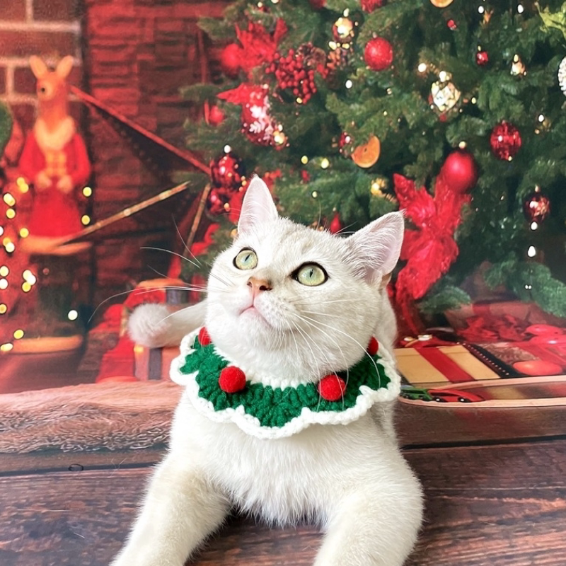 Cat scarf Christmas wind