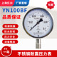 Stainless steel shock-resistant pressure gauge y100