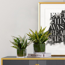 Simulated plant potview home decoration modern template room restaurantRestaurant decoration fake green plant small pot plant