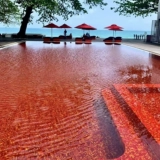 Интернет -знаменитость Цвет Керамическая мозаичная плит