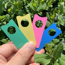 Grape Ticks Card Grape Mark Card Watermelon Ticks Cacaque Goosebumps With Kiwi Tags Thyme