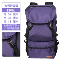 Фиолетовый большой [Стандартное издание]