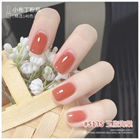 5135 Jade Fat Begonia