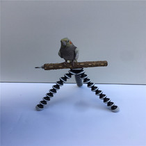 Small and medium-sized parrot rack out bird universal fixed portable handheld stand multi-function stand desktop stand