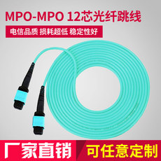 Адаптер USB 8芯12芯万兆单多模40g/100g集束光纤跳线mpo-mpo/mtp om3 OTHER