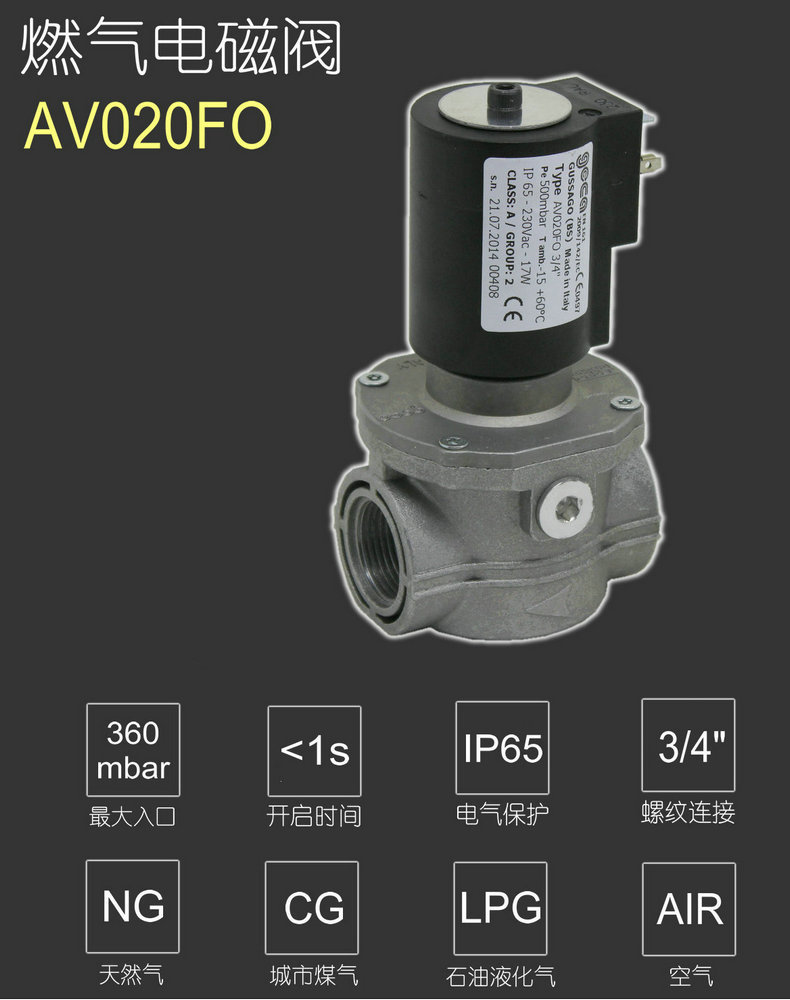 AV020FO_790_P1.jpg