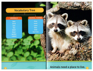 【外图原版】进口英文 美国国家地理读物 动物的家 National Geographic Kids Readers: Animal Homes (Pre-Reader)少儿读物 学前