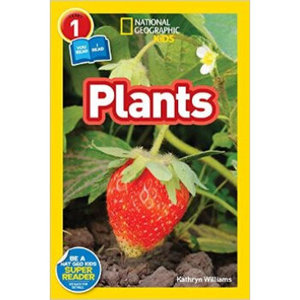 【外图原版】进口英文 国家地理 少儿儿童版NGR PLANTS职务