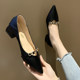 Versatile Four Seasons Shoes 2024 Spring and Autumn Style Hot Heels High Heels Pointed Toe Medium Thick Heel Matching Skirt Temperament Single Shoes for Women