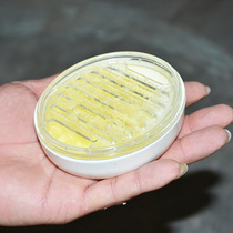 Japan kM brand ginger grinder Ginger grinder Mud grinder Mashing ginger grinder Mashing ginger grinder Ginger grinder Ginger grinder