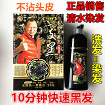 99 Three color Hall Thailand black mulberry fruit a black hair dye Pure plant shampoo water a wash of black hair dye cream