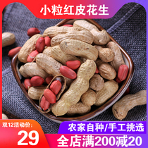 Red peanuts with shells four-grain red peanut seeds new peanut kernels sun-dried farmhouse 500g * 5