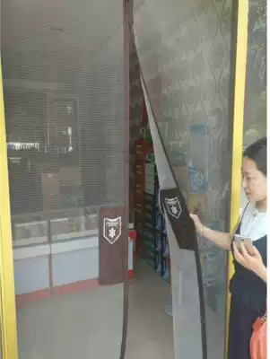 Anti-mosquito door curtain with floor spring glass door alloy door and other Aegis curtain
