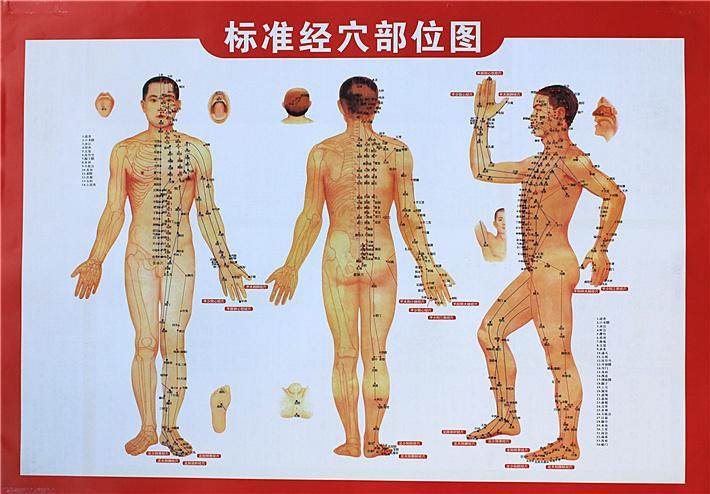 Human body acupuncture