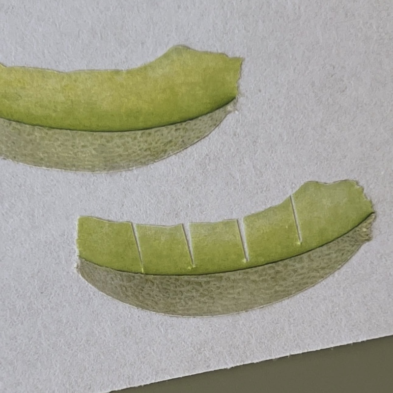Hush | Korean Zagne New Style Honeydew Shaped Washi Tape Sticky Notes Journaling Materials Mood