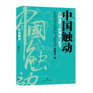 中国触动(百国视野下的观察与思考)
