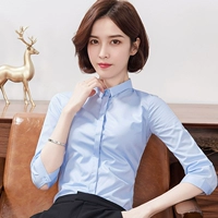 Голубой [маленький воротник]