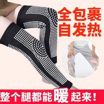 Self-heating knee pads to keep warm old cold legs extended womens knee cover Magnetic therapy heating leg pads Calf male elderly leg pads