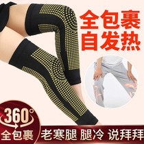 Wormwood self-heating extended knee pads warm old cold legs men and women heating calf protection lacquered old leg protection knee