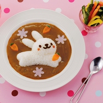 Japan Arnest cute cartoon rabbit rice ball mold lunch Japanese sushi DIY tool mold